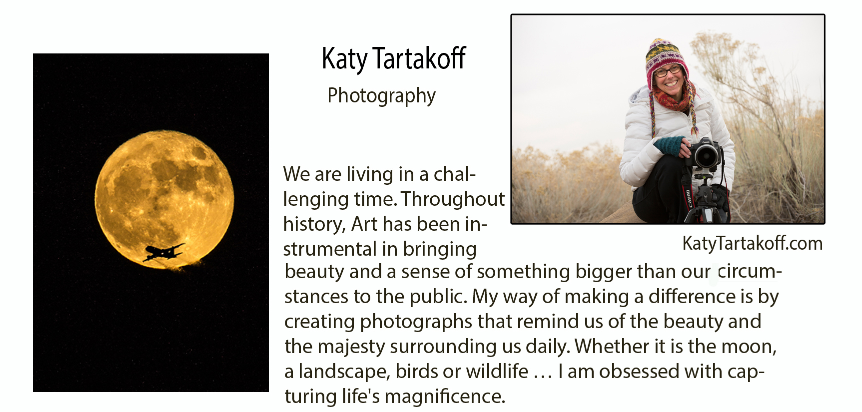 Katy T profile for FB copy.jpg