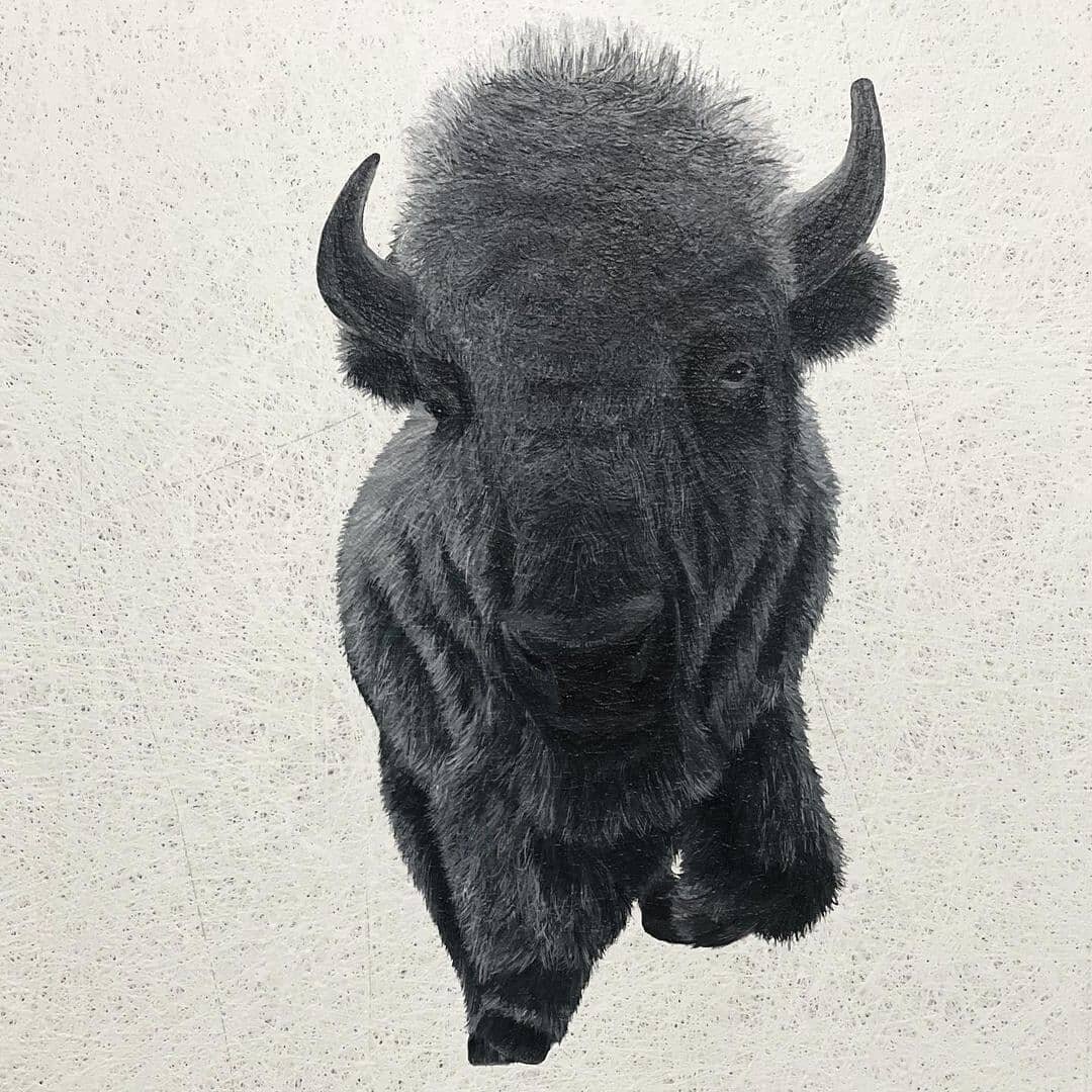 We love this finished bison painting @nrfineart!

I JUST finished painting this bison. Though it took FOREVER, I am so happy with the final result. This piece is 48&rdquo;x48&rdquo; and looks incredibly badass. This was a challenging project and I&rs