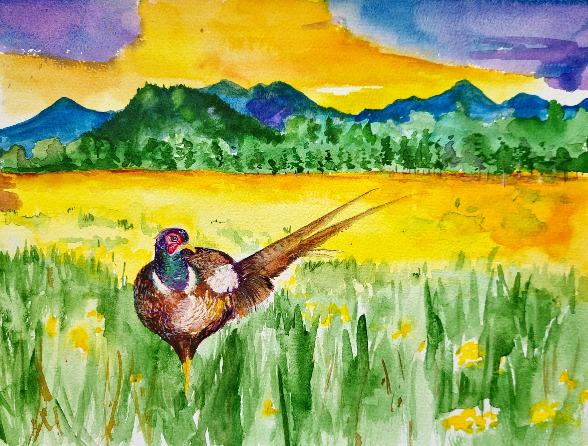 Plen Air Painting