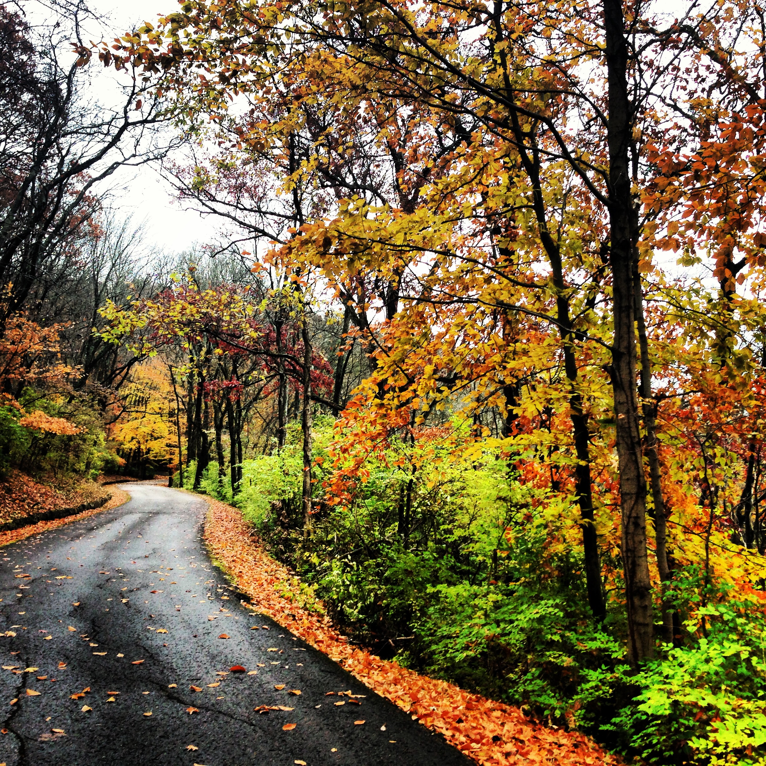 Pursuing Dreams Down The Road Not Taken