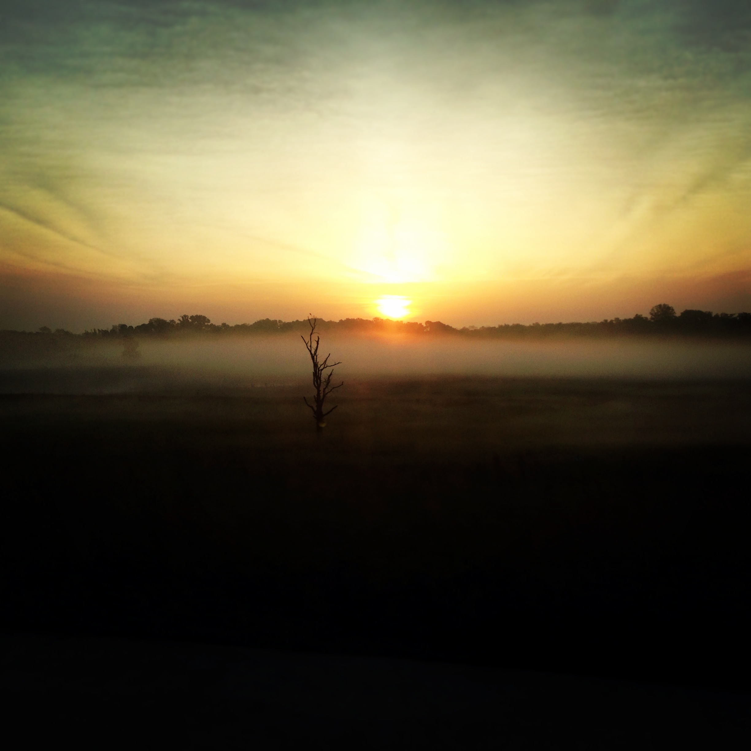 Through the Mist: A Crash Course in Getting to Know Yourself