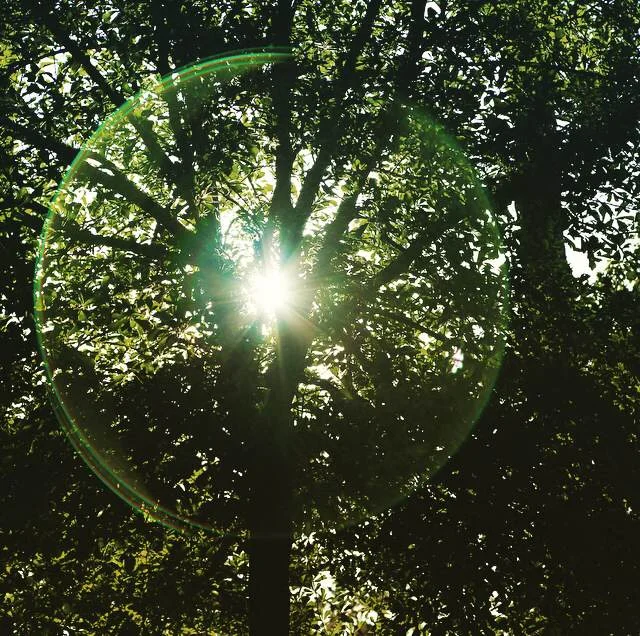 Murphy's Law: What Can Happen, Will Happen