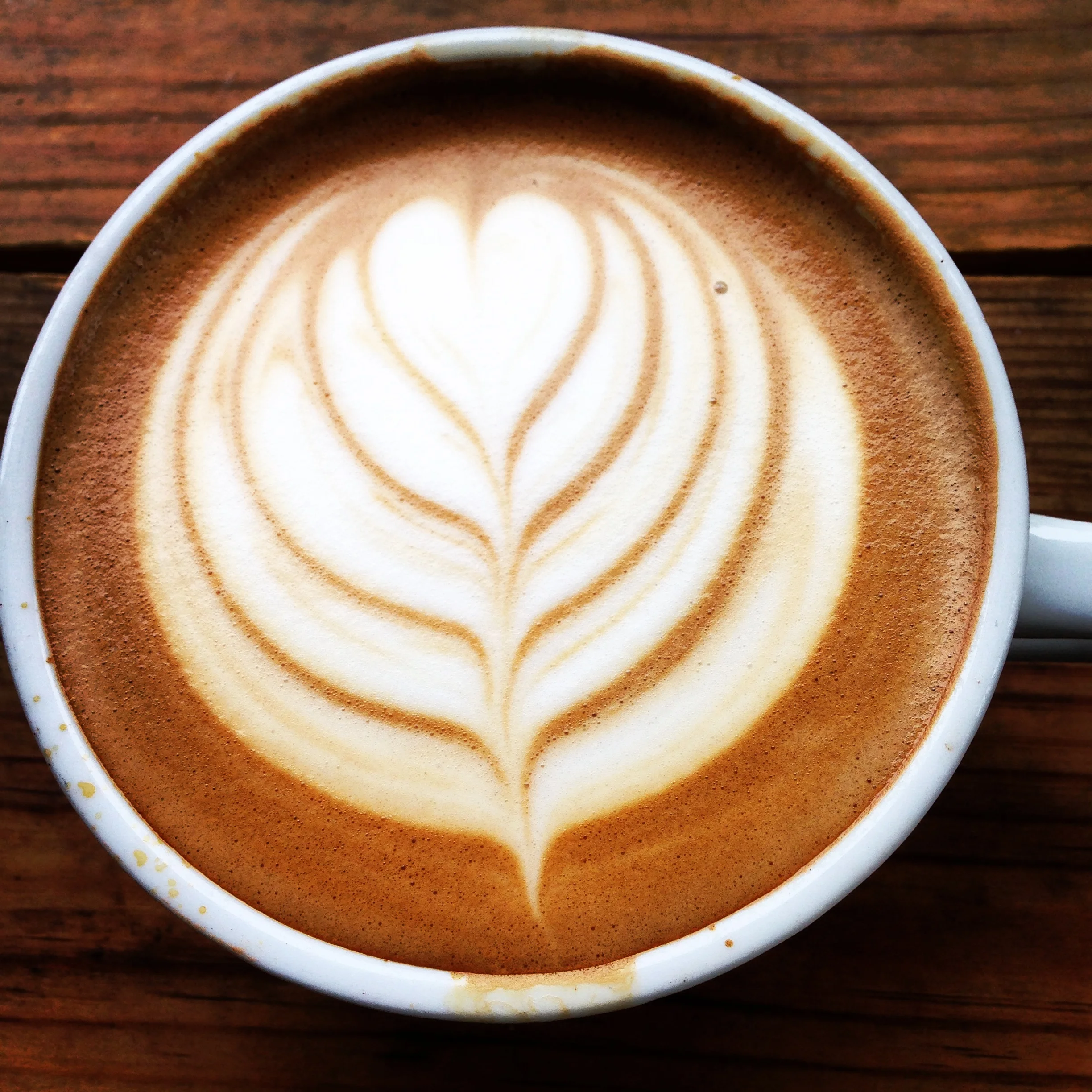 How to Become A Morning Person