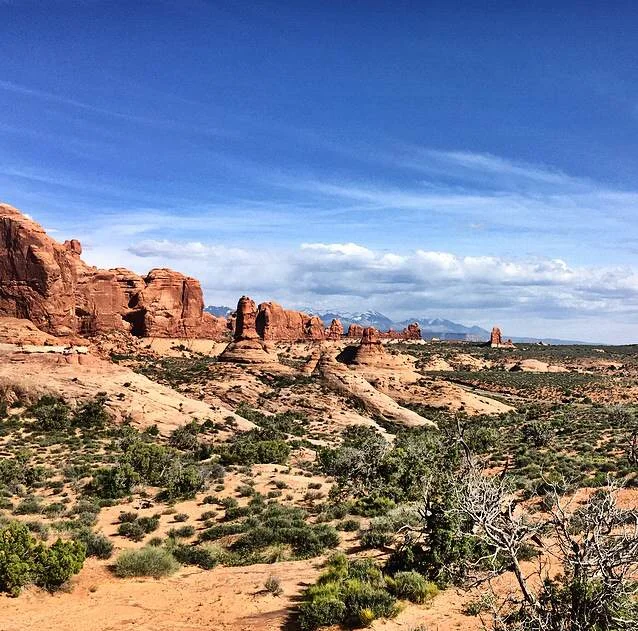 So This is the Desert, Then