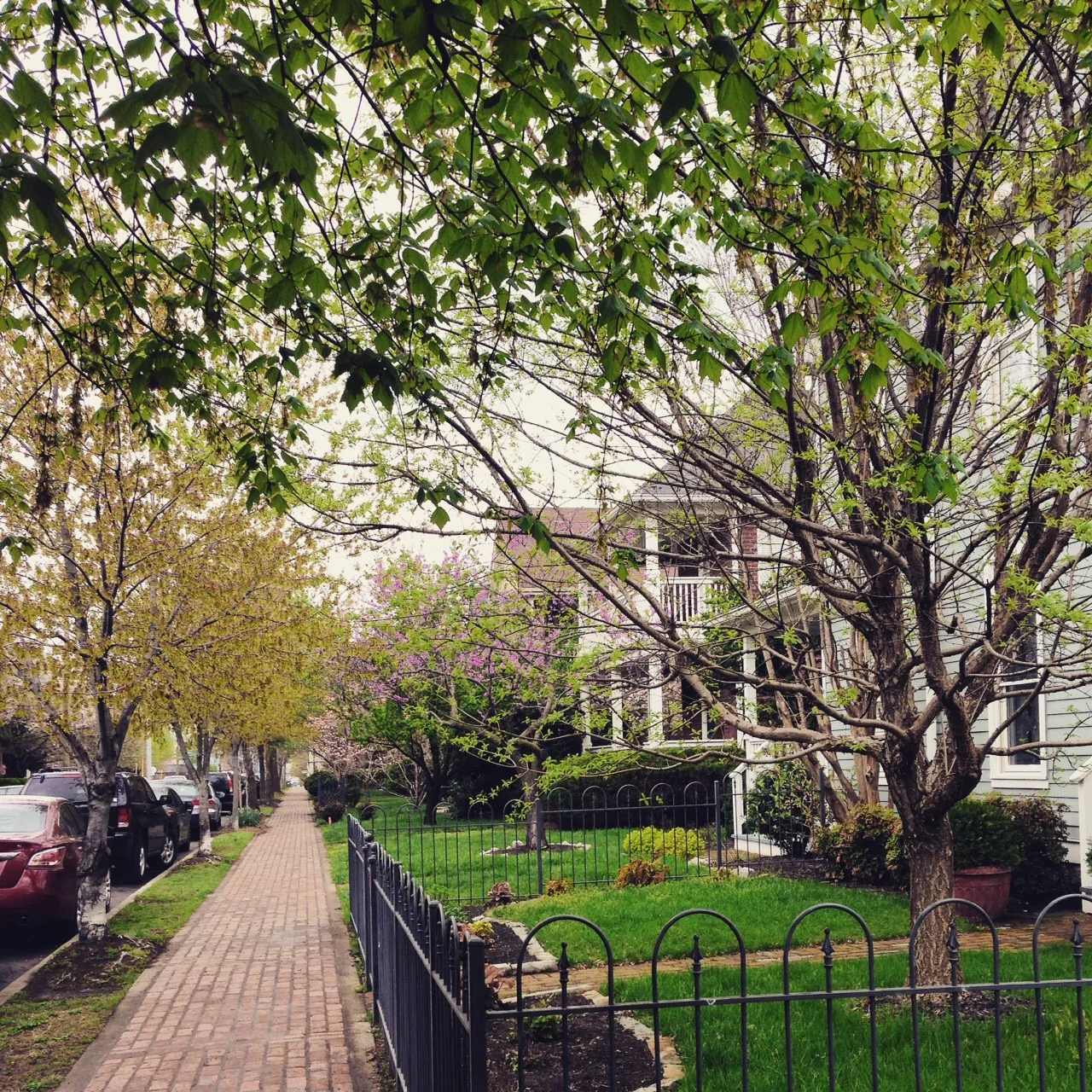 On Homesickness and Other Matters of the Heart