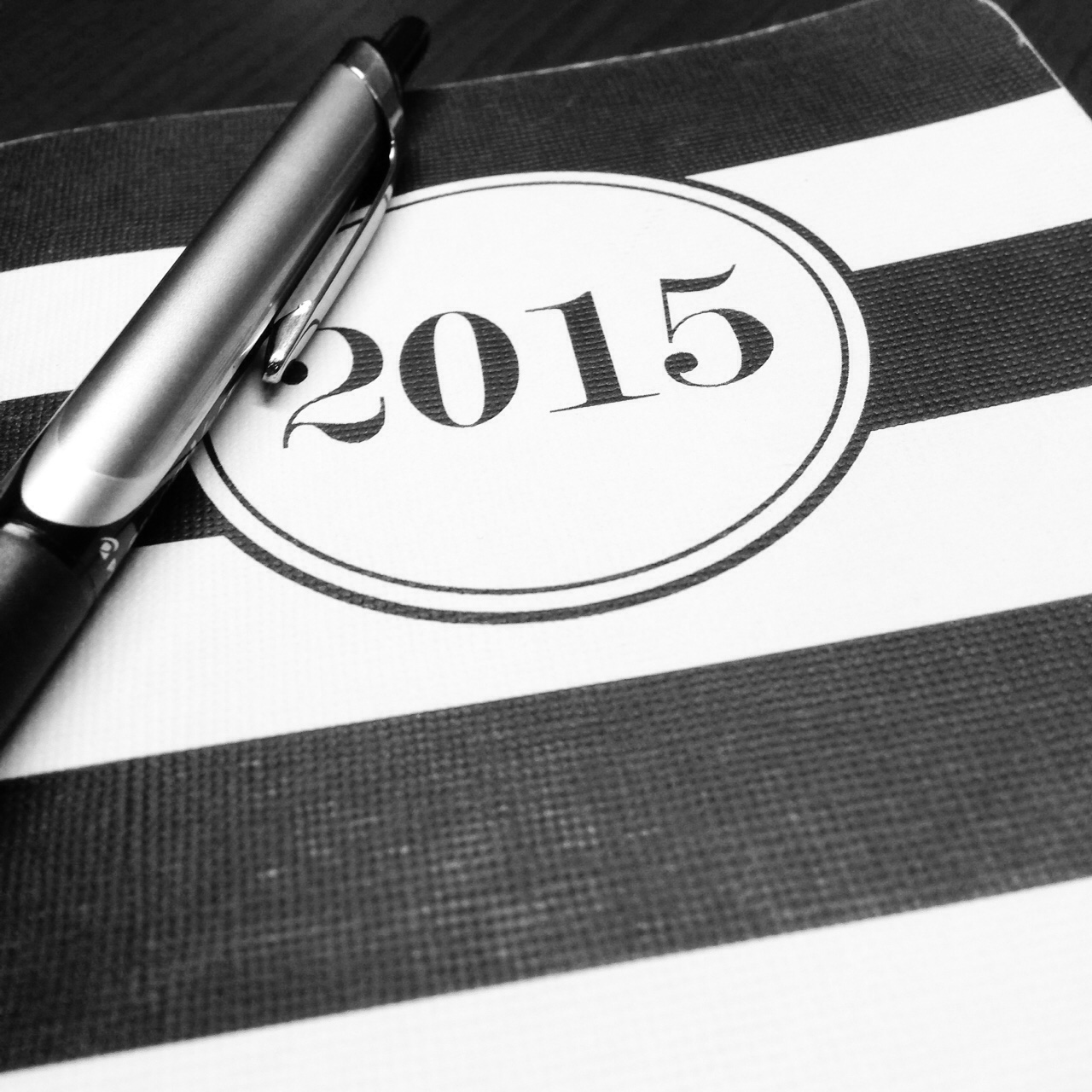 365 Days of Being My Own Worst Critic