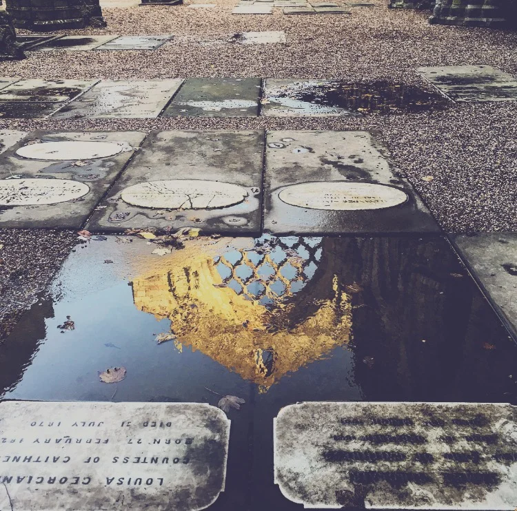 One Year Later: A Reflection
