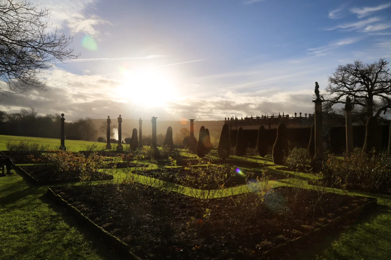 Bloom Where You Are Planted