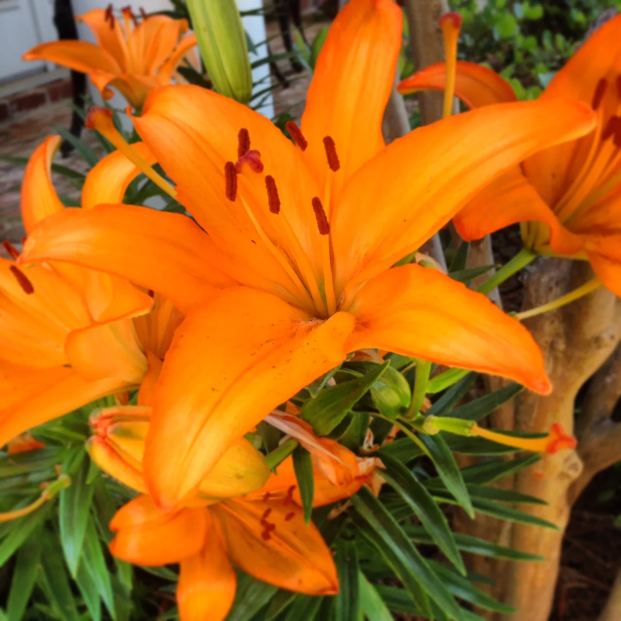 A Tough Love Letter: Valentine's Day Edition