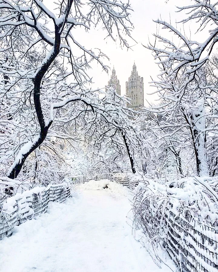 A Winter Without Spring Break