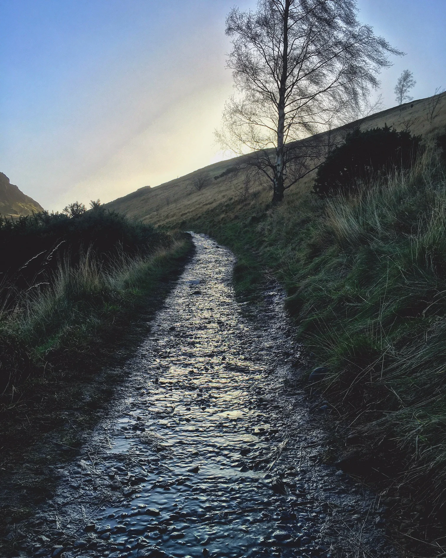 The Road Paved with Disappointment