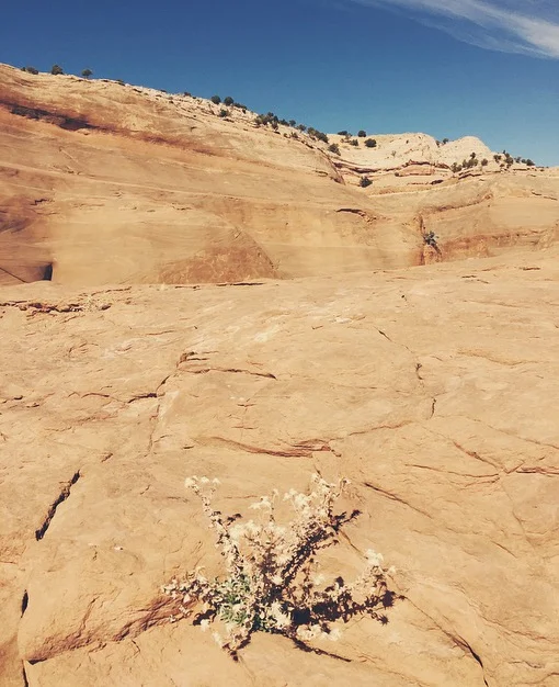 New Things, Better Things