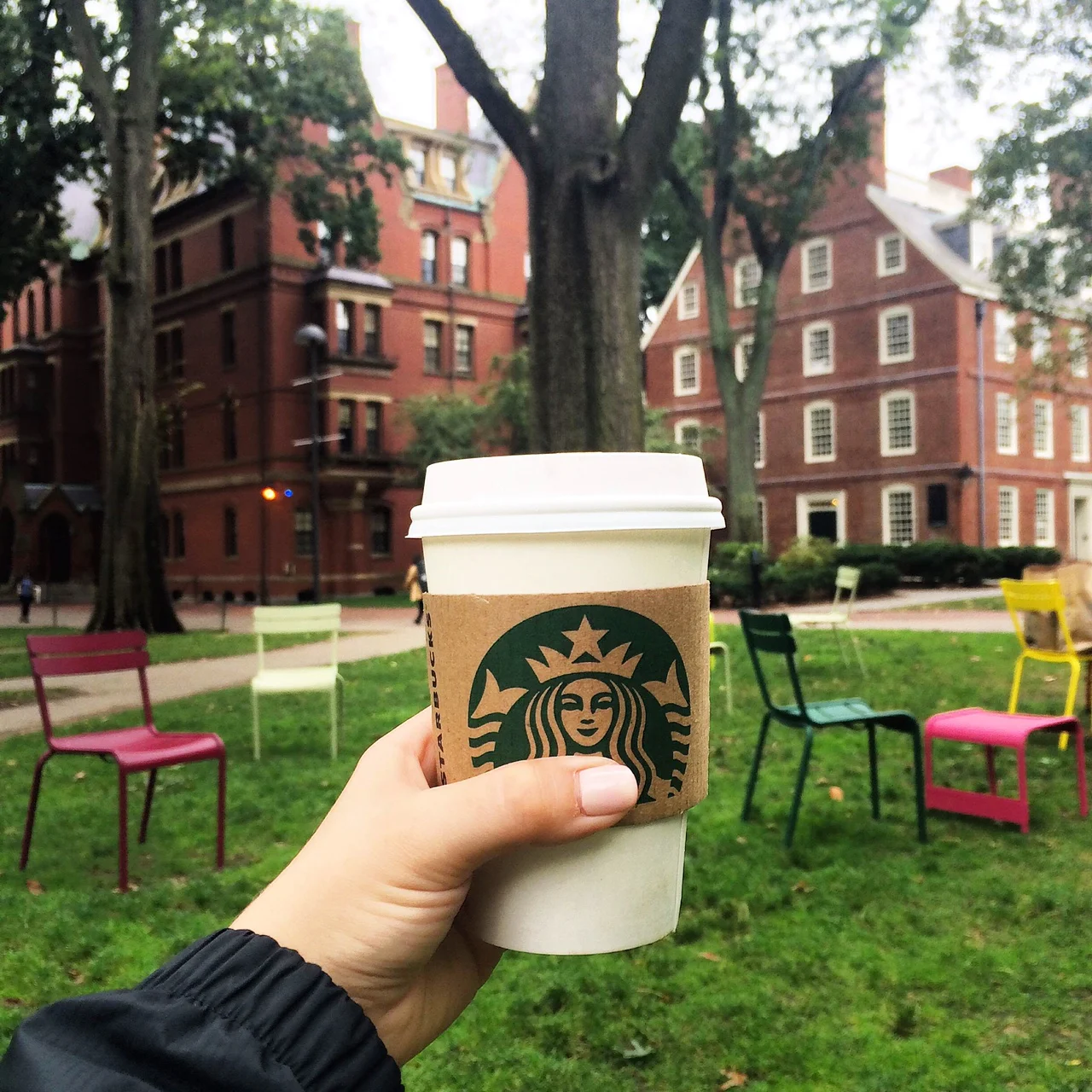 What Do You Do First?