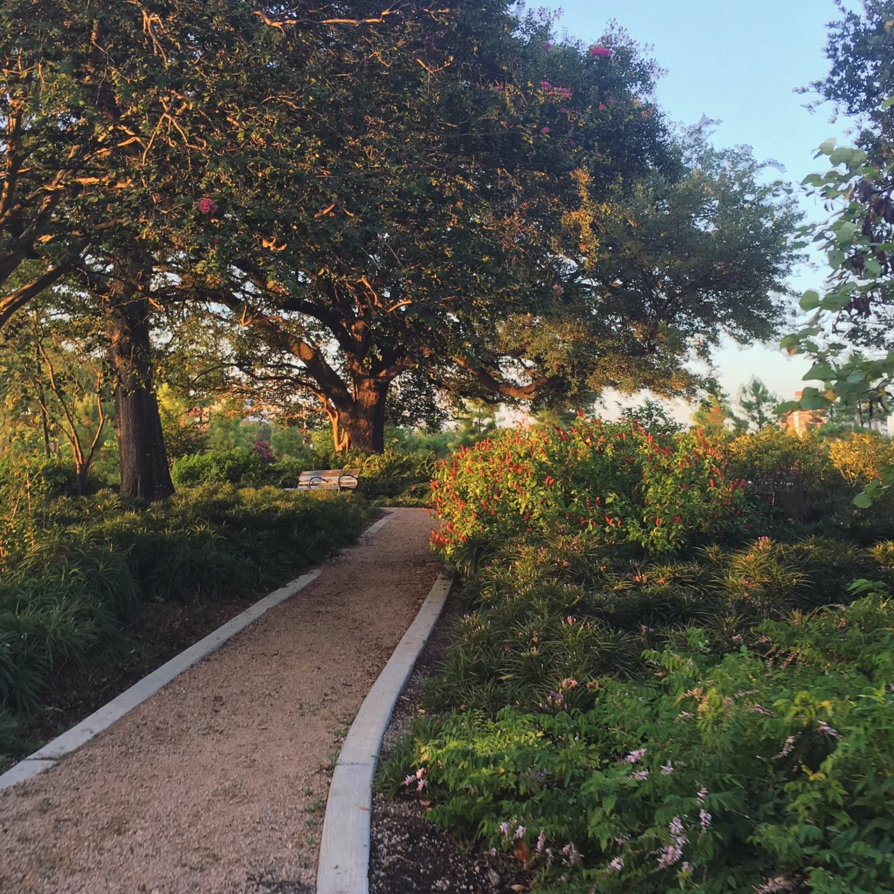 Not What You Want, But What You Need