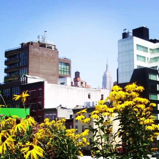 The Dream Worth Chasing