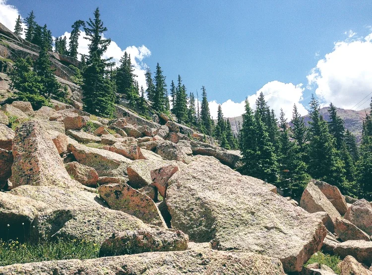 Navigating Your First Job