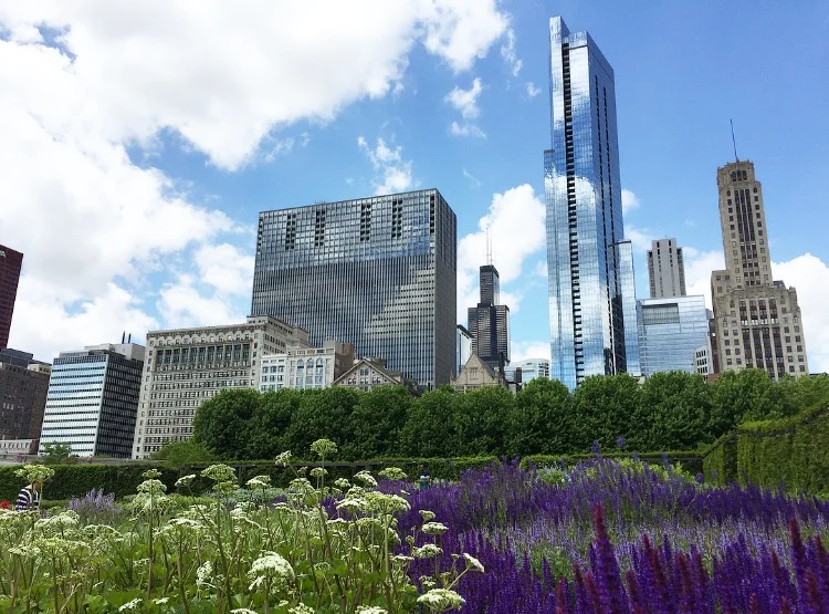 Hope Lost and Regained