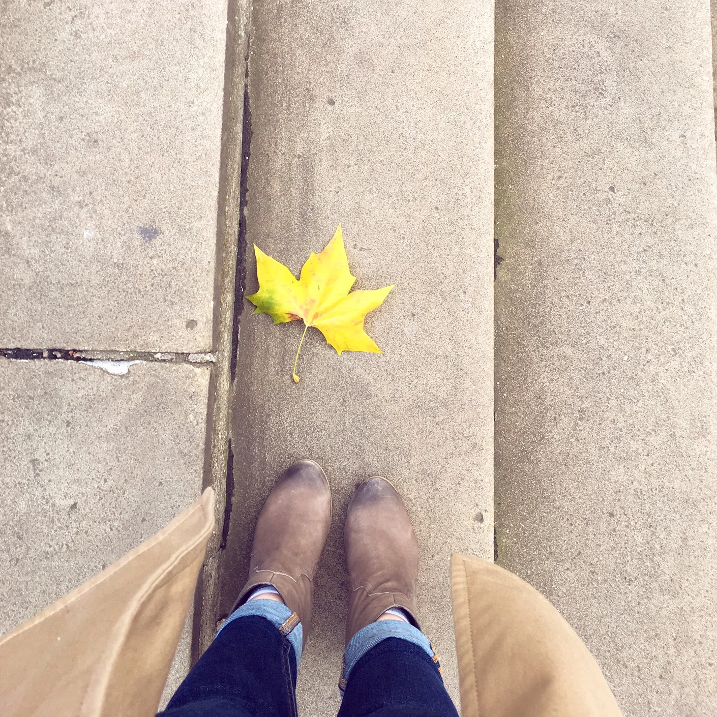 Palms Up Pausitivity: Developing a Sense of Gratitude