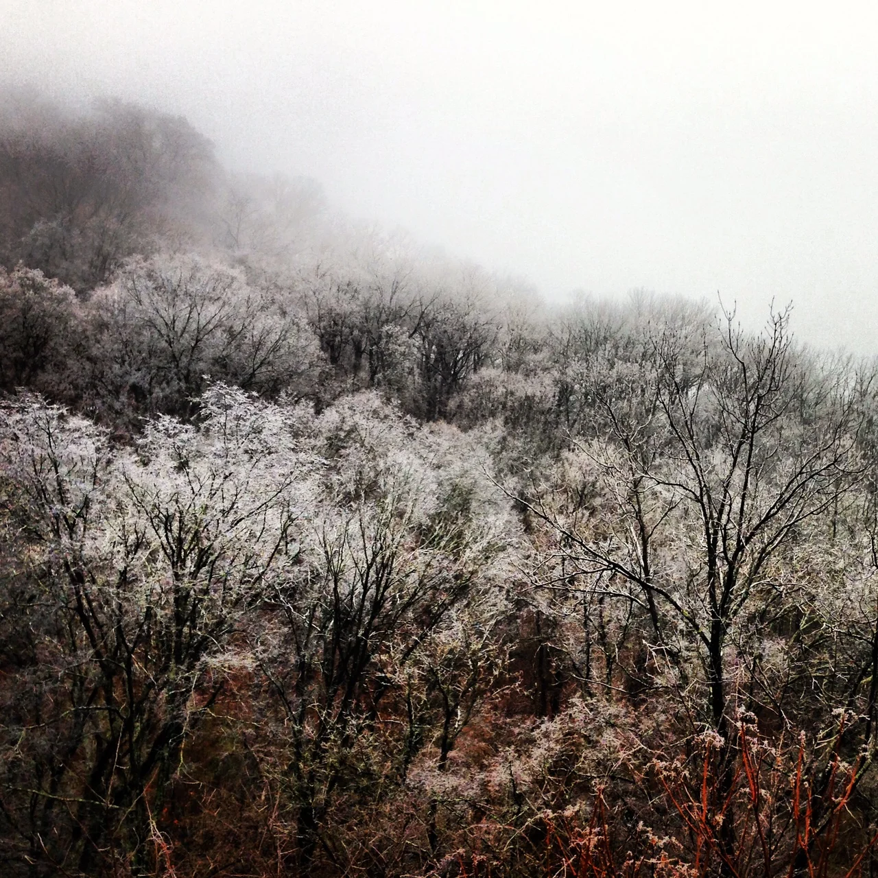 "Like A Diamond": A Poem