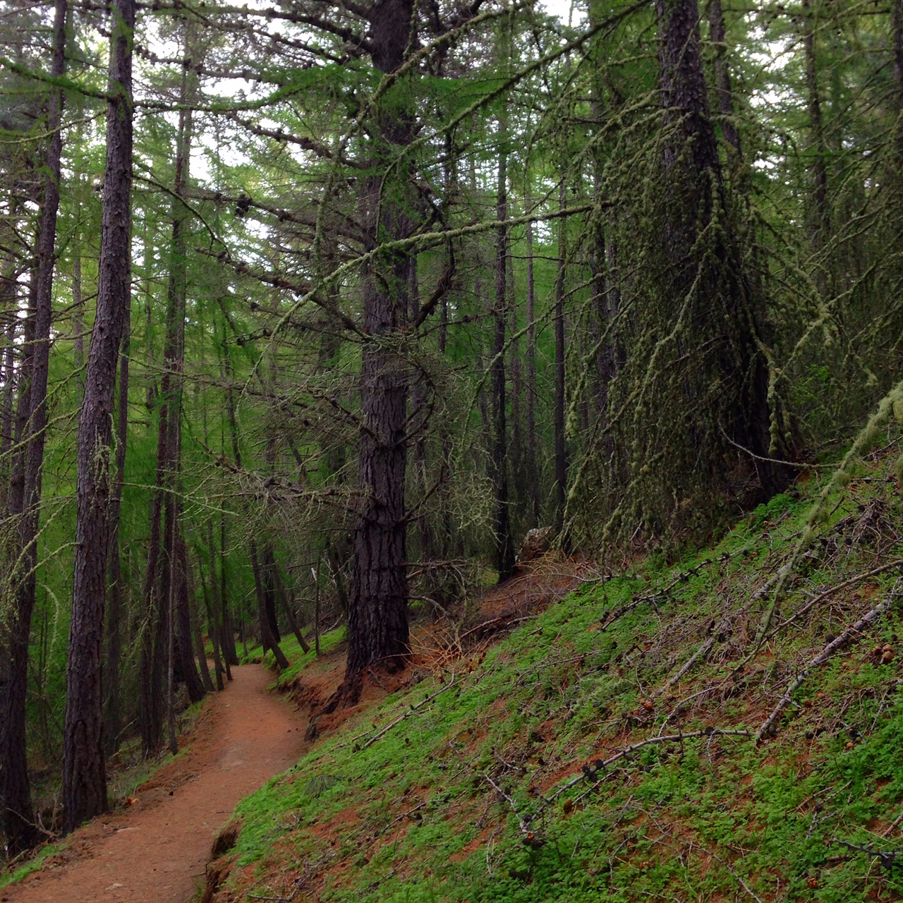 Getting Lost So You Can Find Your Way