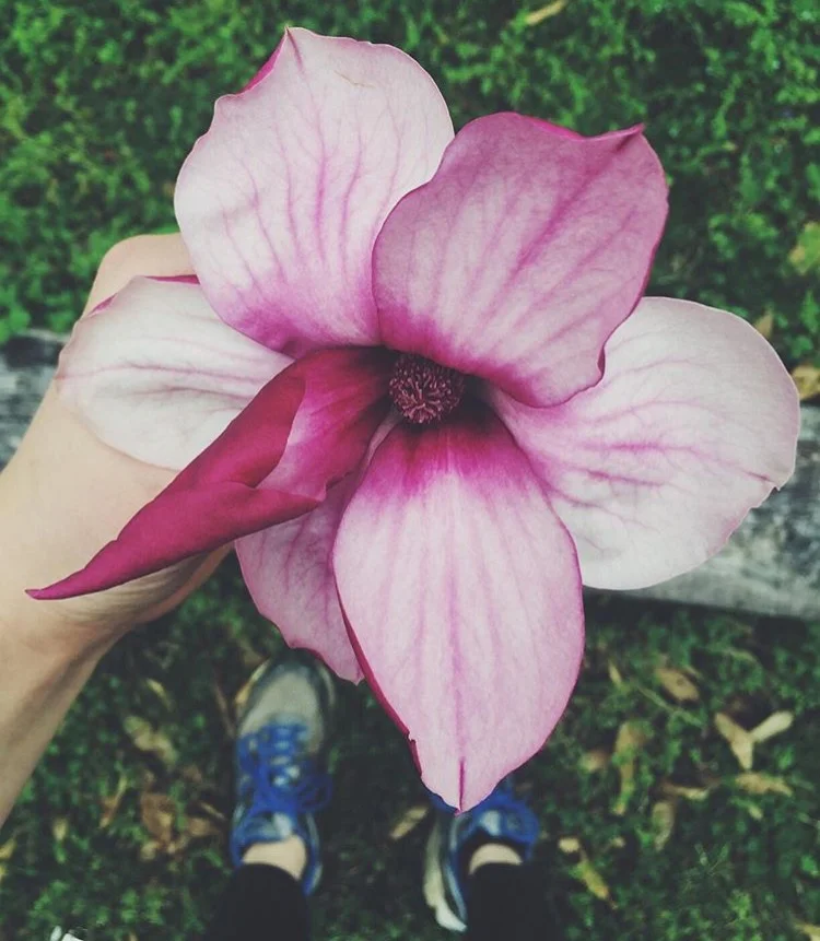 On Birthdays and Becoming an Adult