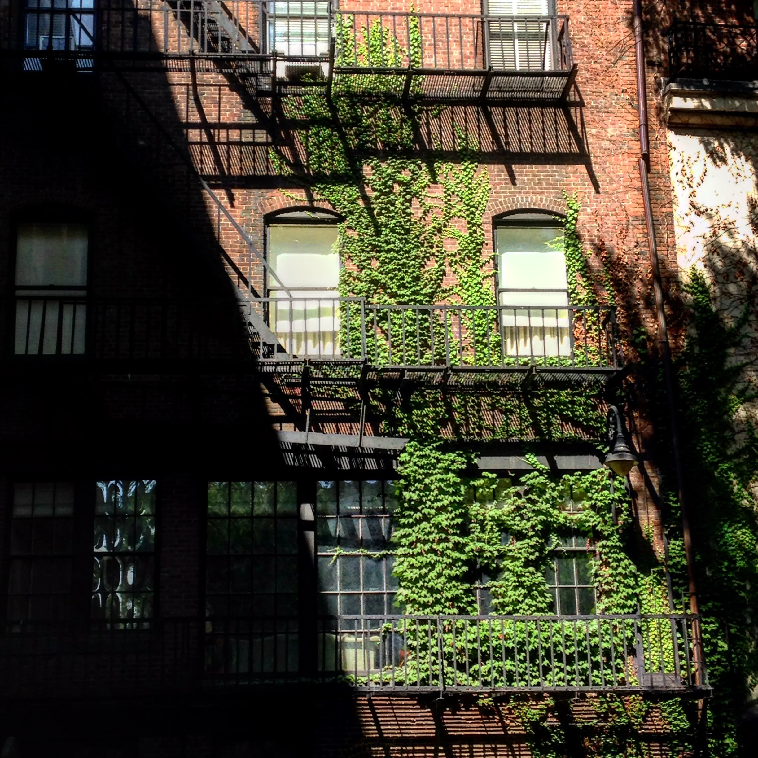 When Your Parents Become Human