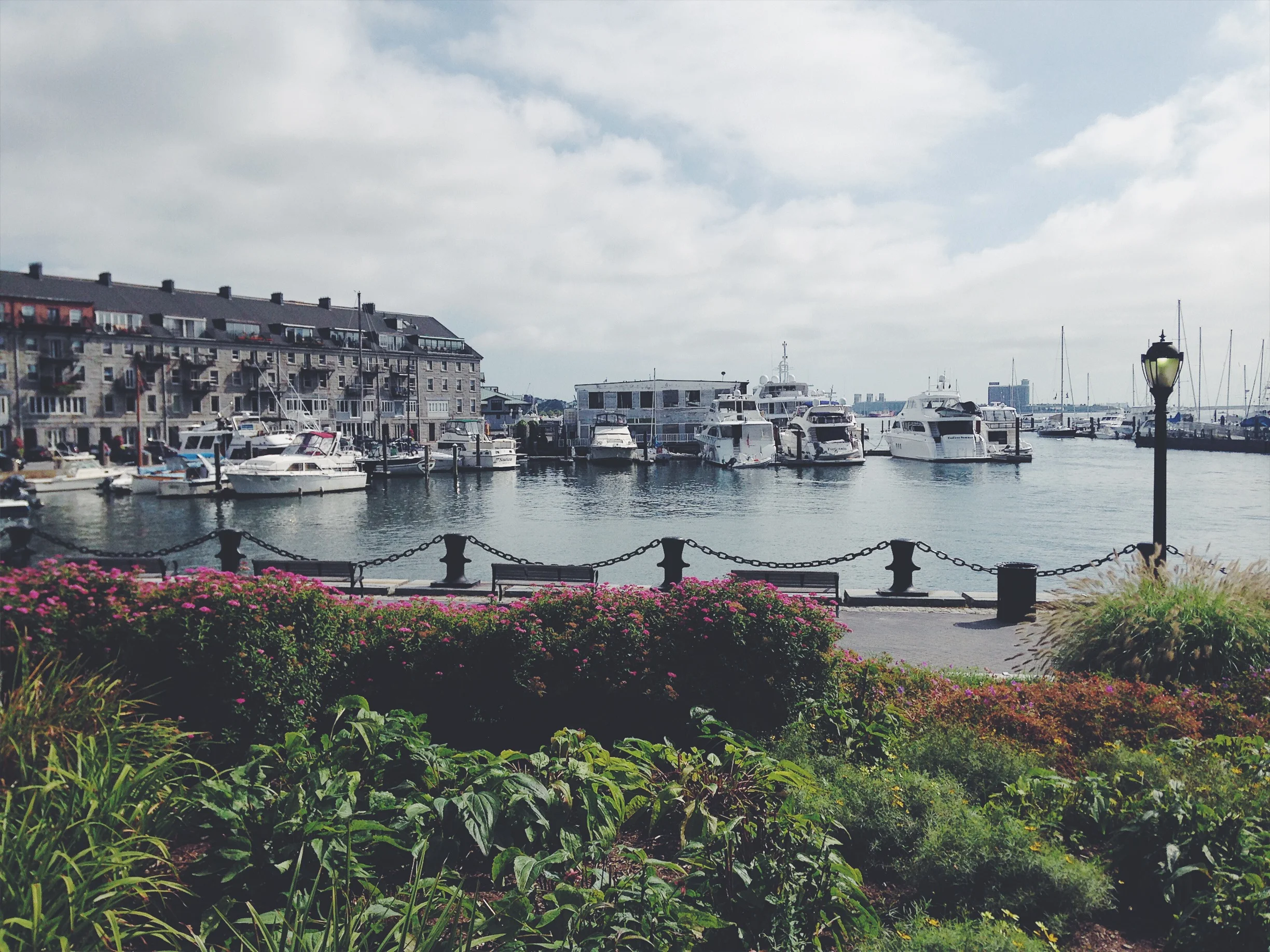 The Beginning, The Middle, The End