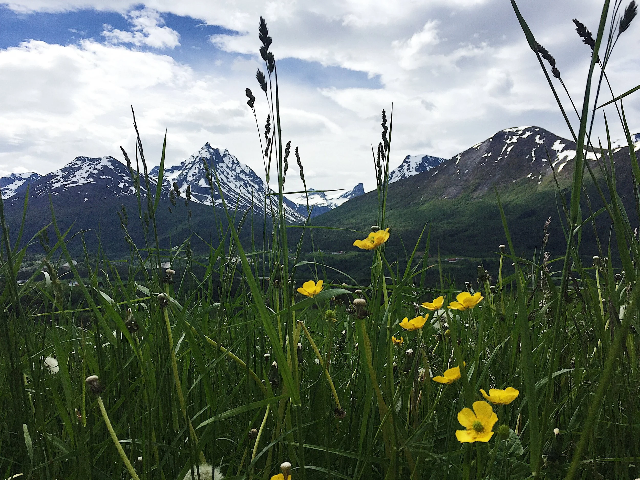 Creating Space for Simple, Part II