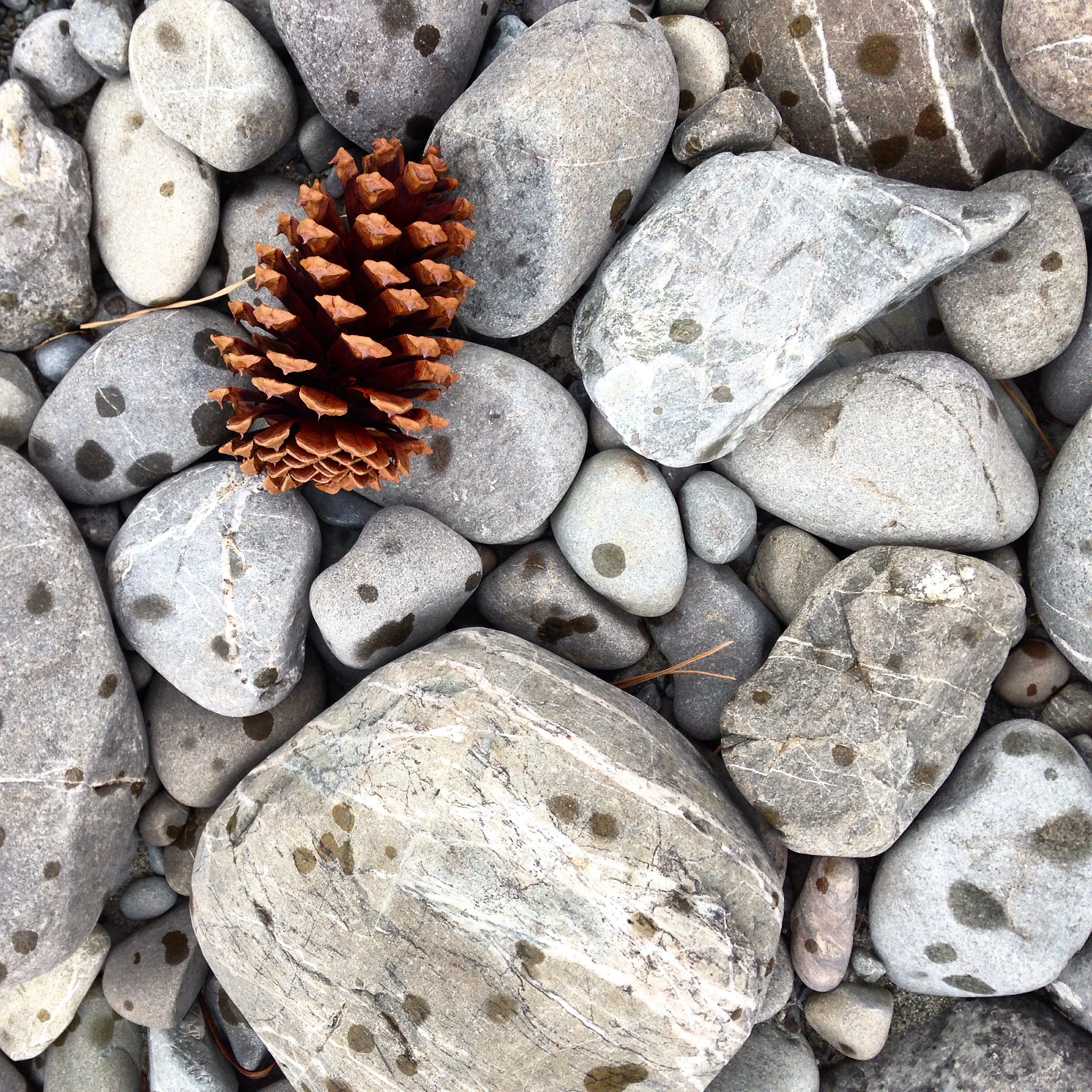 On Being the Quiet One