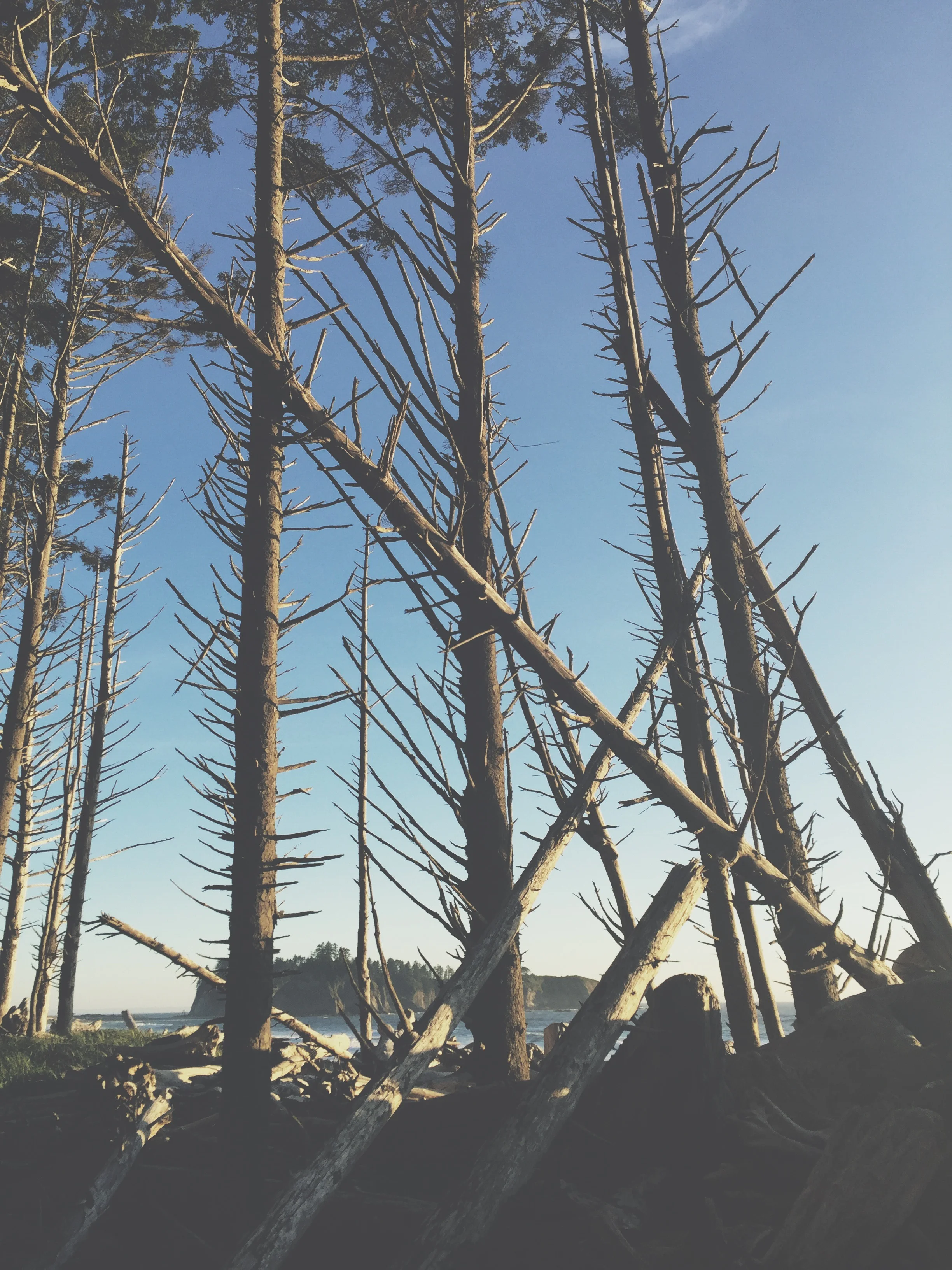 When You're Burned Out