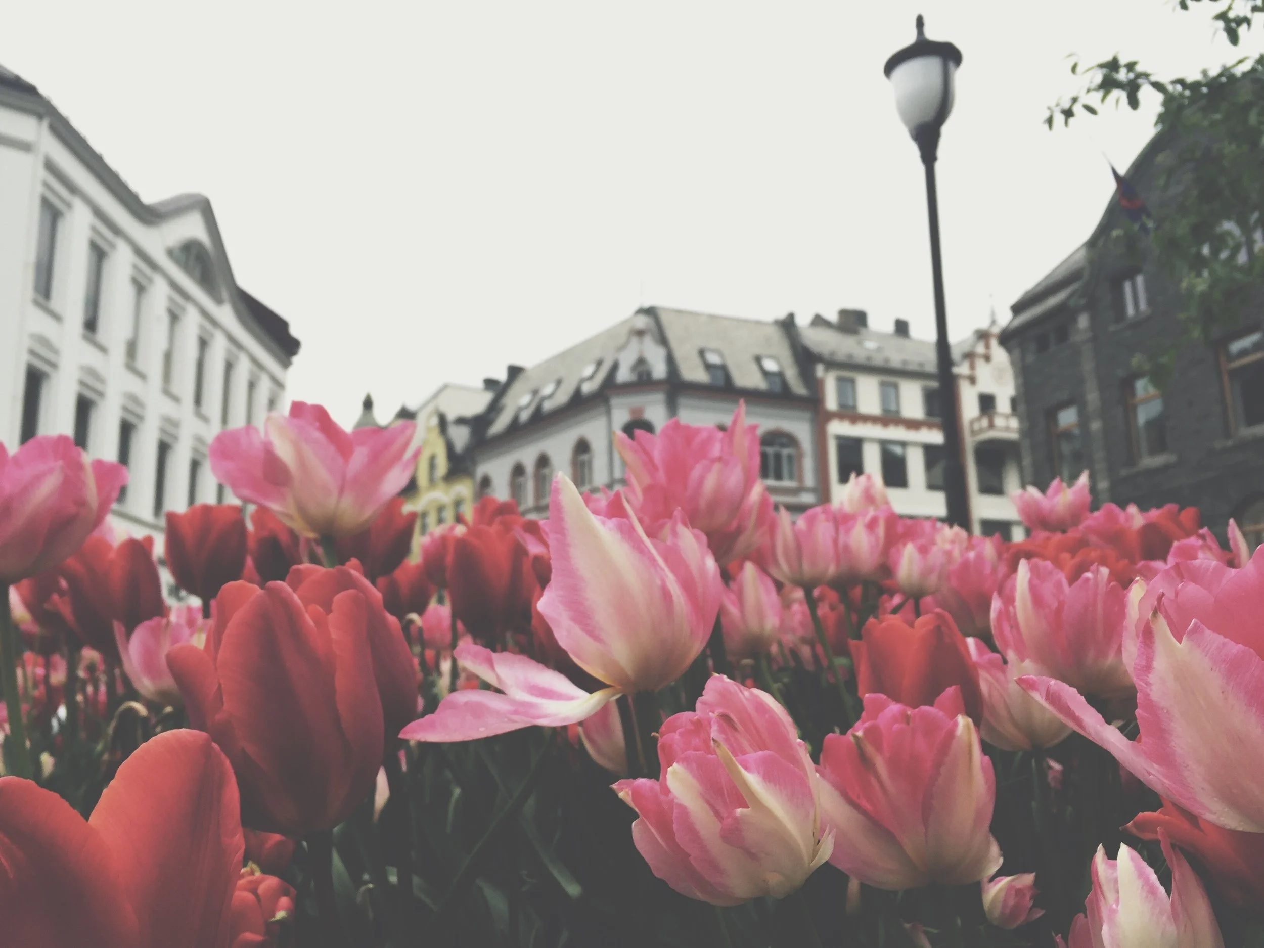 On Letting Friendships Fade