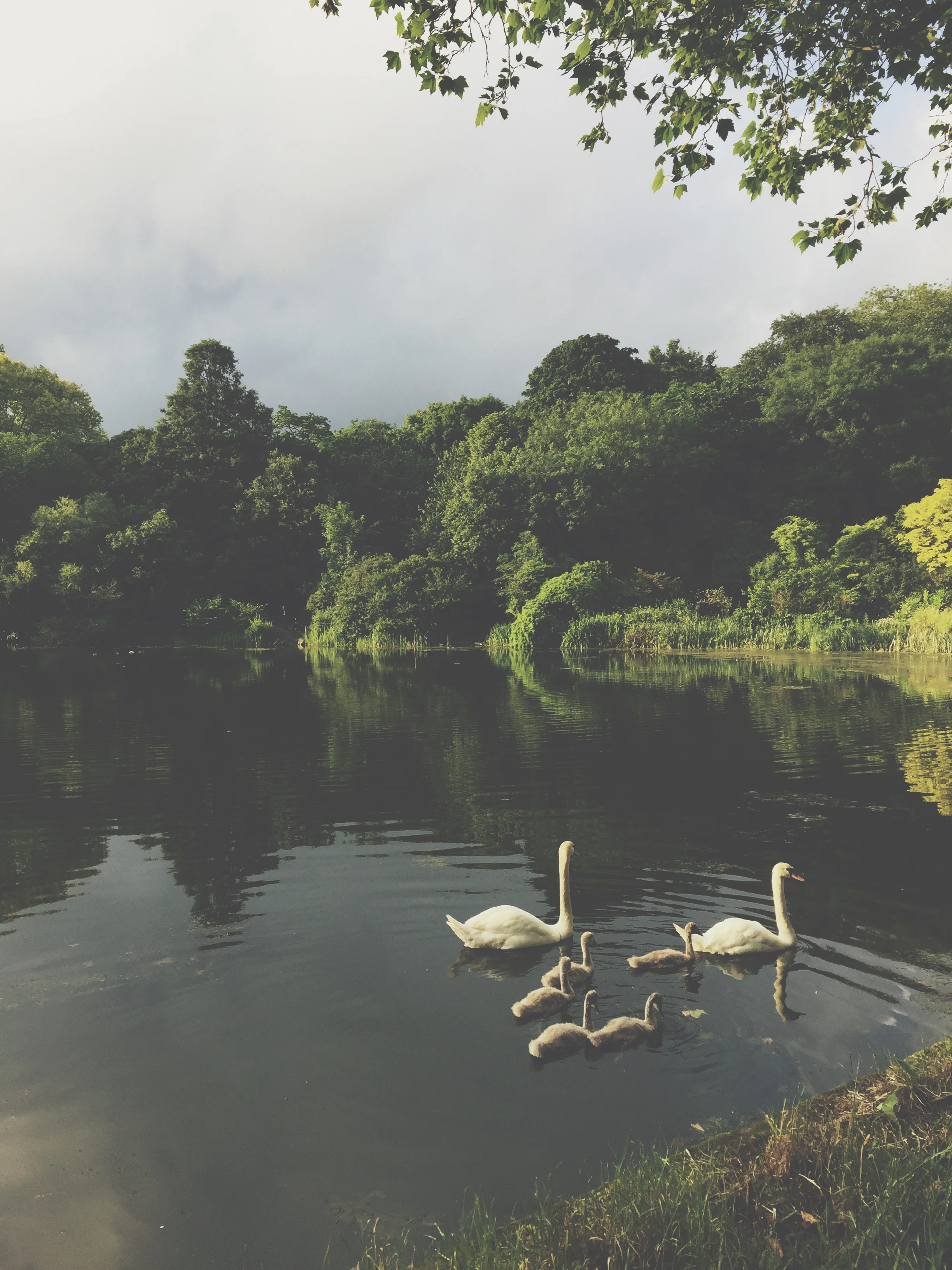 Learning To Relate To Your Parents As An Adult