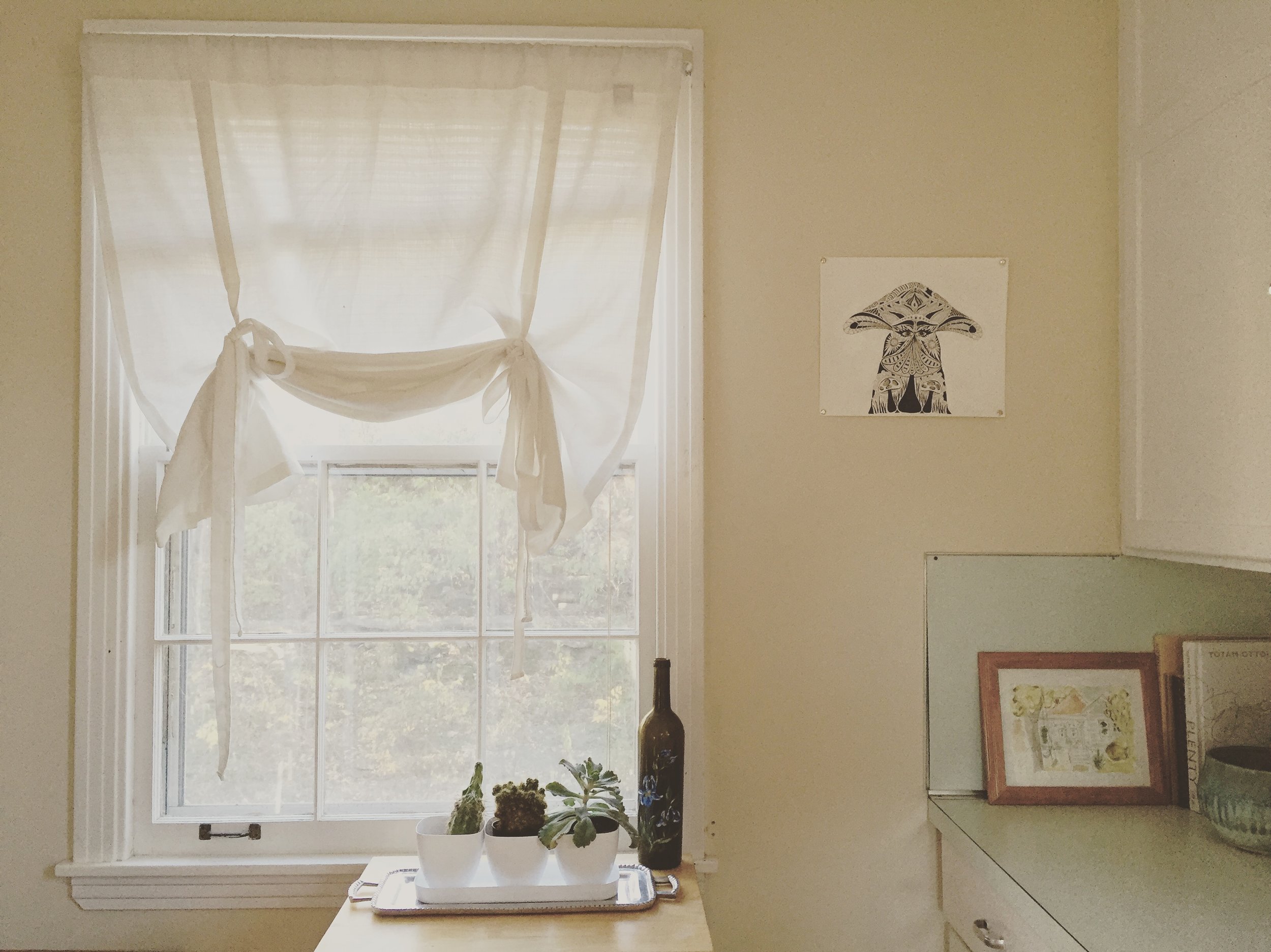 The Importance of Daily Rhythms