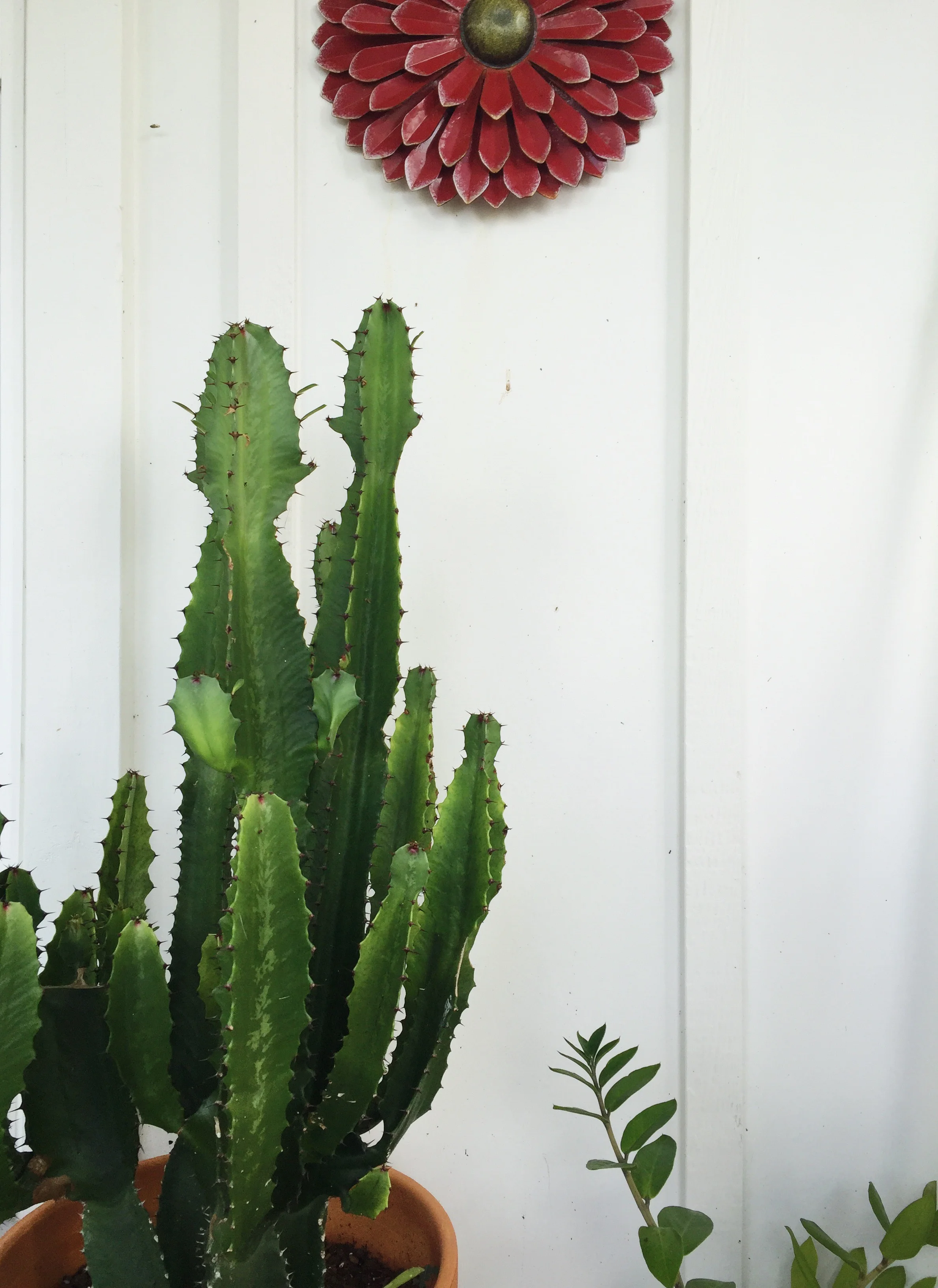 The Parent Trap: When We Become Our Parents