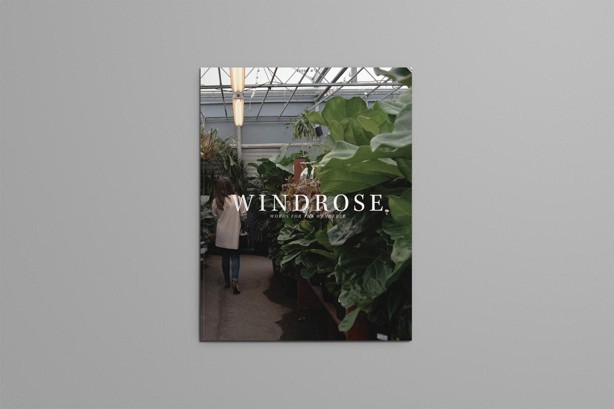 Windrose Issue 2 Preview Gif.gif
