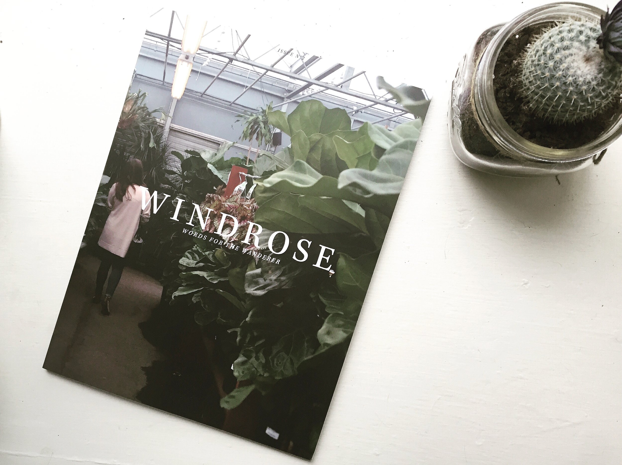 Windrose Magazine Issue 2 with Cactus PHOTO.JPG