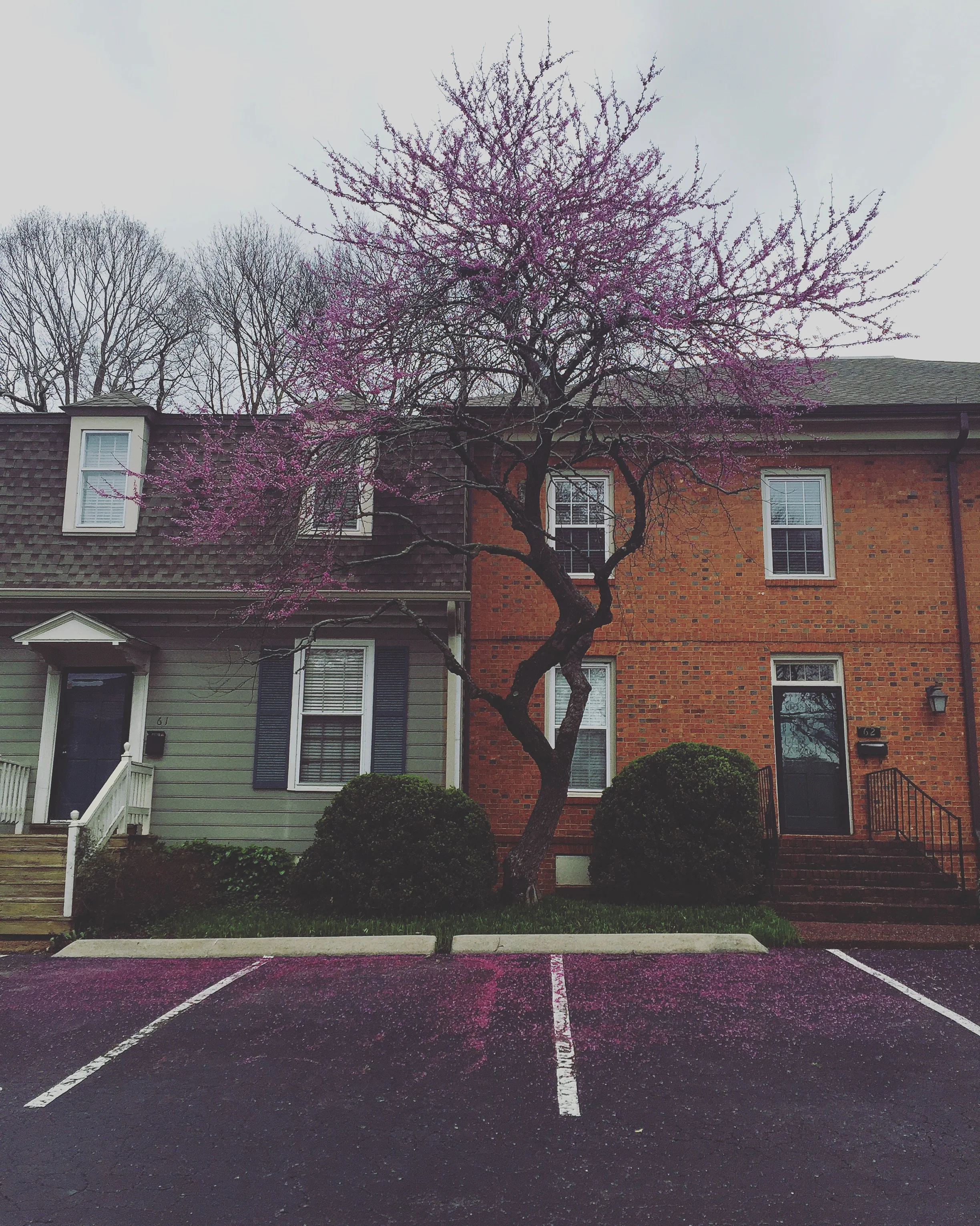 On Making Yourself At Home