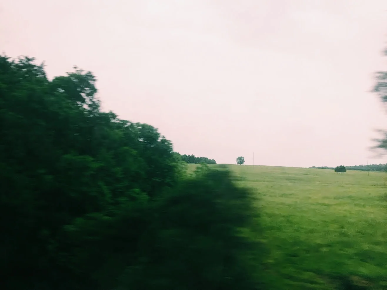 Fleeting Perspectives