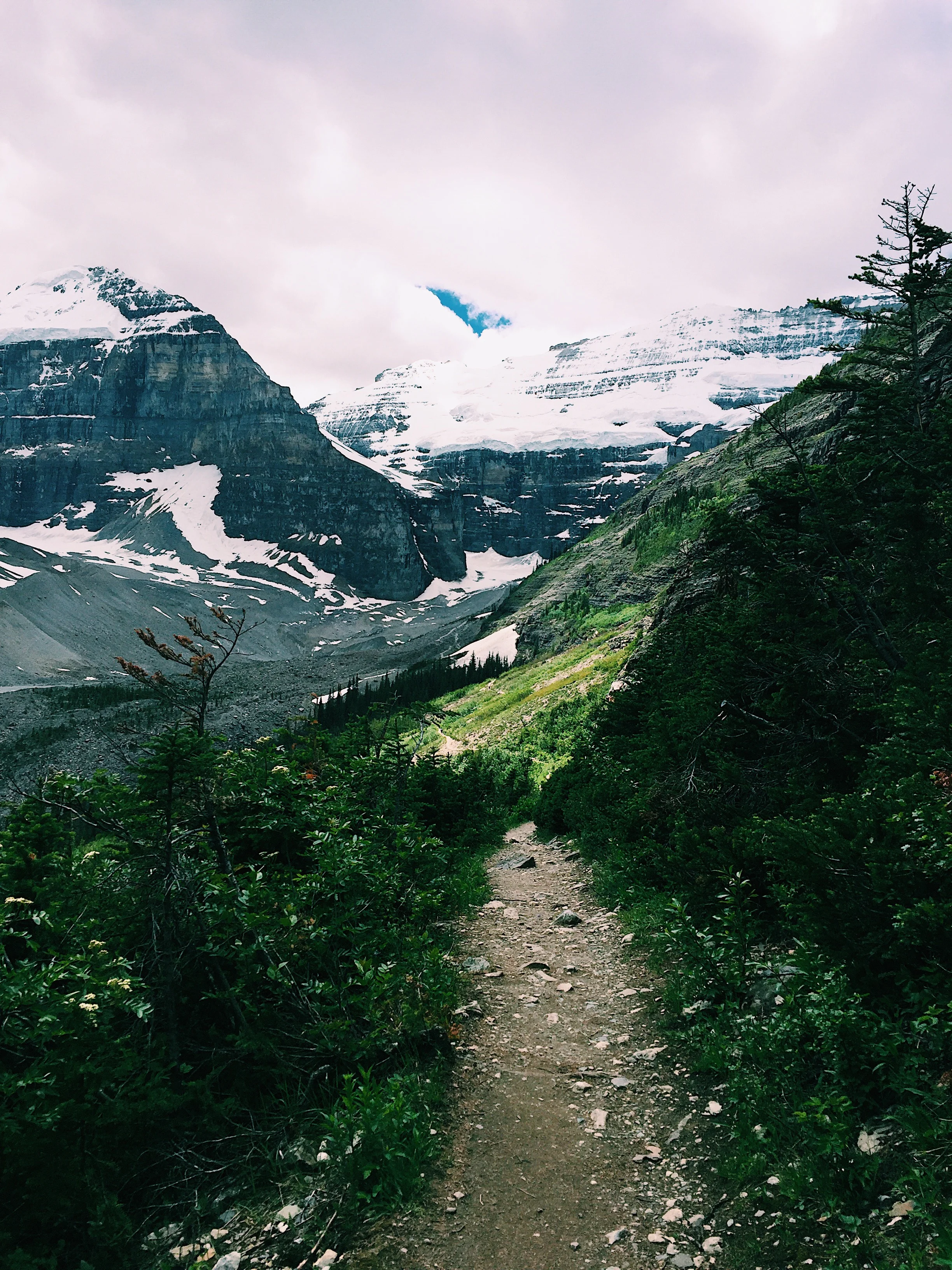 Baby Steps: The Power of Yes and Breaking Out of Your Comfort Zone