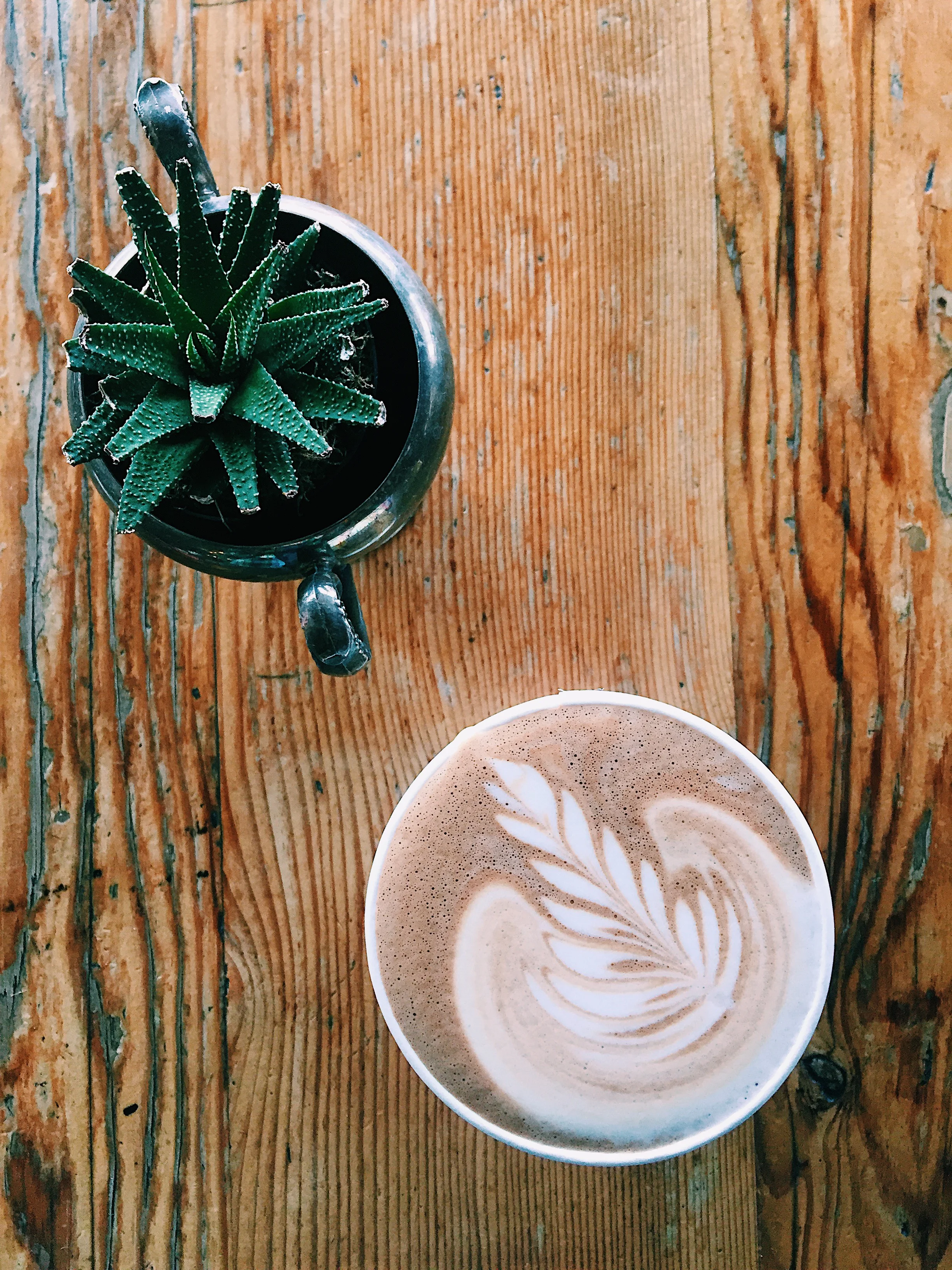 My Journey to Tackling $29k in Student Loan Debt in 1 Year