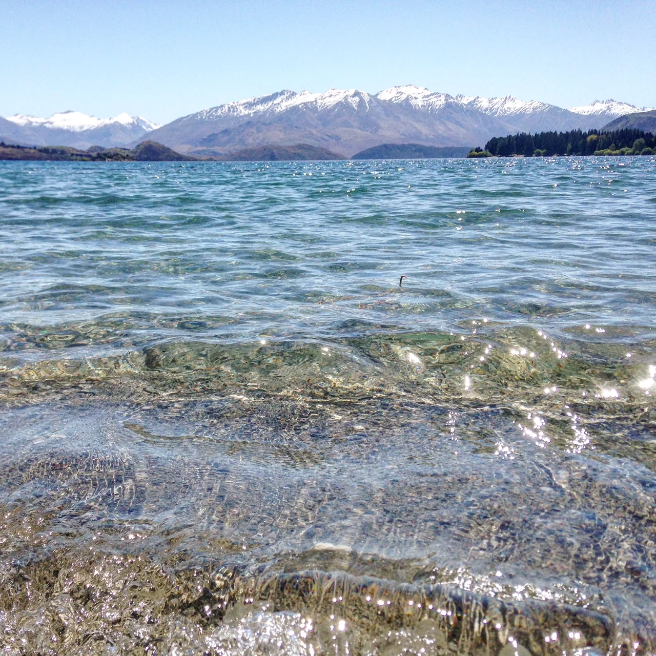 FROM THE ARCHIVES: Therapy for the Skeptic