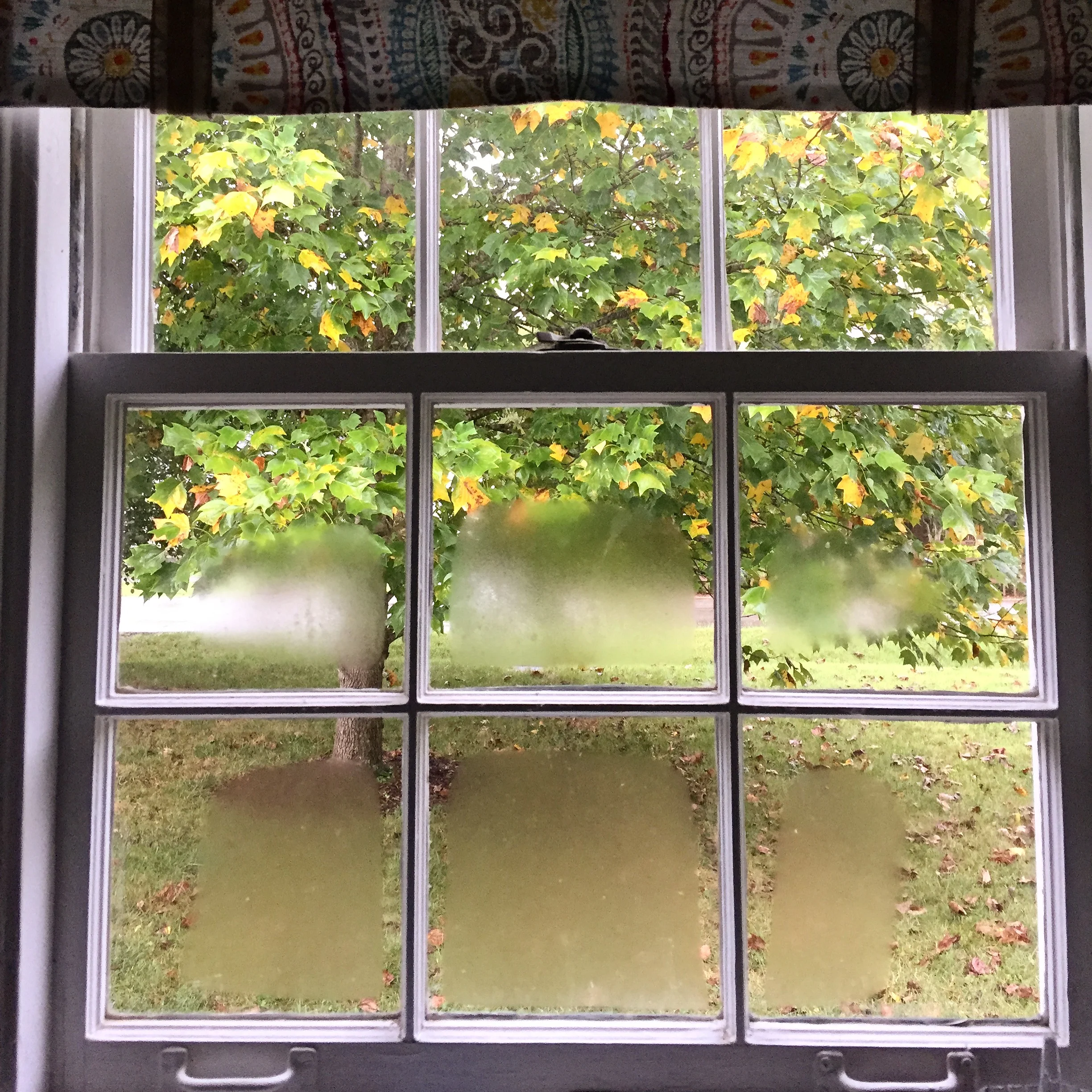 When Life Feels Transient