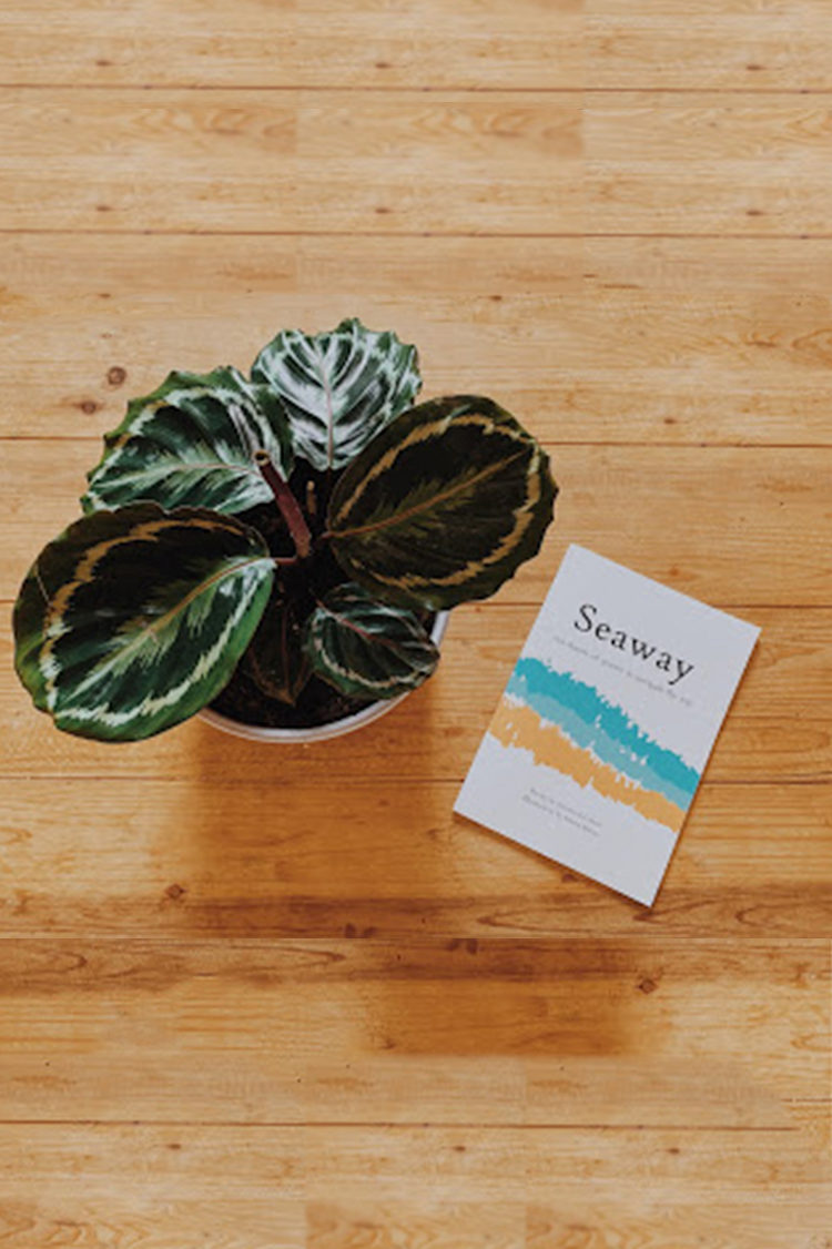 I've Been Writing: Lessons from Self-Publishing