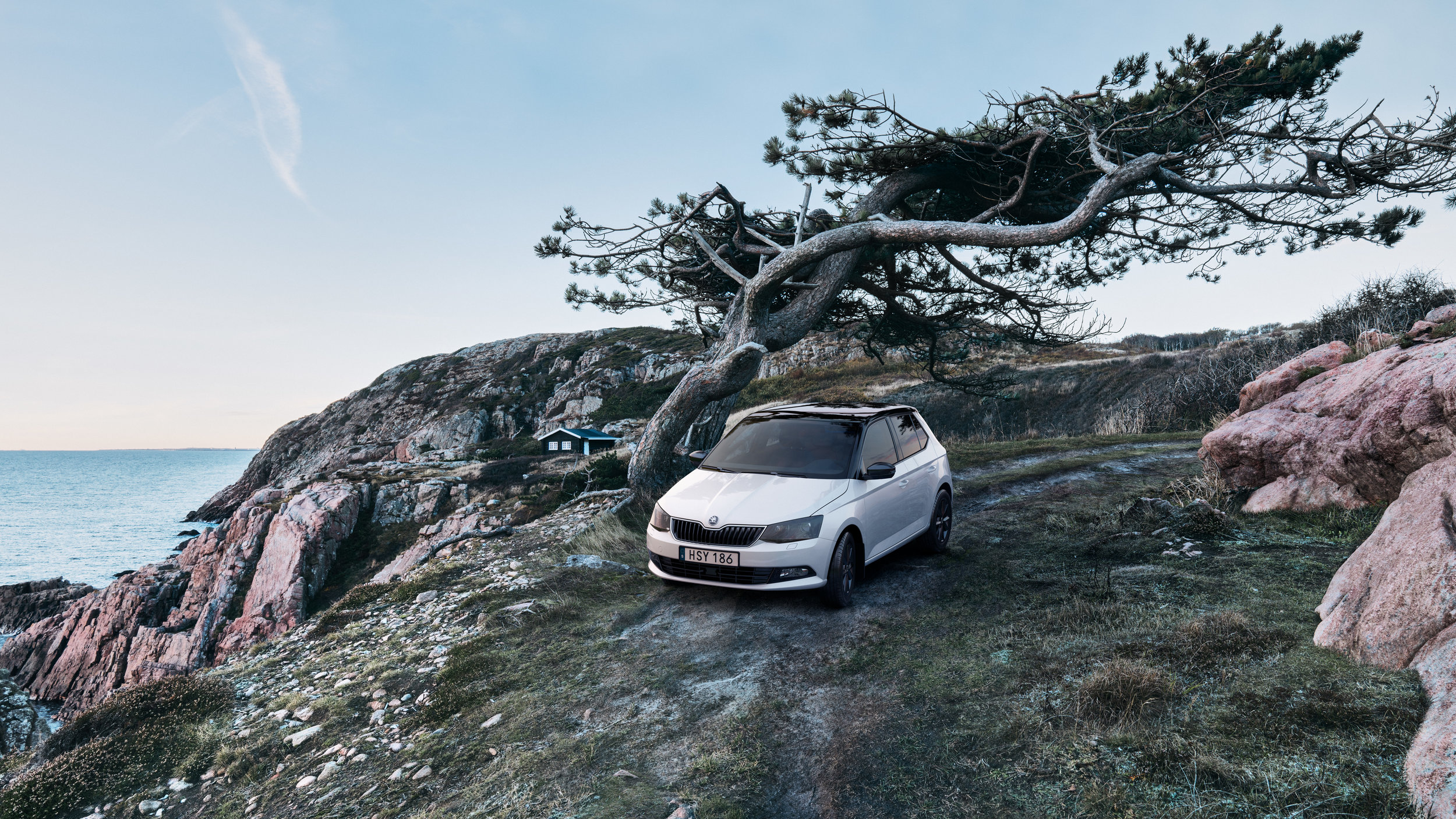 Skoda_Fabia_v4.jpg