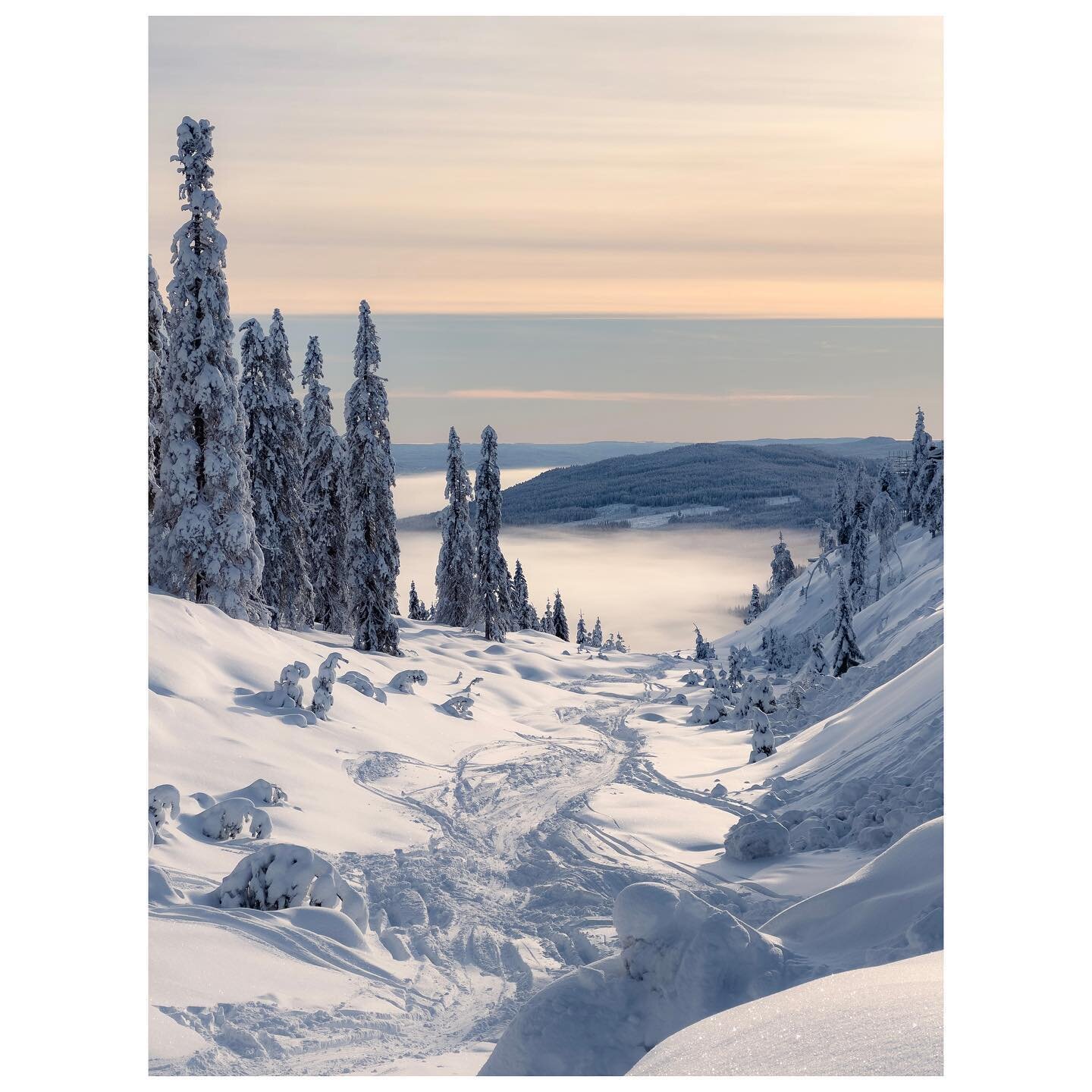 Off-piste

#shotoniphone #shotoniphone14promax #apple #offpiste #offpisteskiing #bran&auml;sberget #bran&auml;sskidort #visitv&auml;rmland #winterwonderland #landscapephotography #winterlandscape #snowpeak #visitsweden