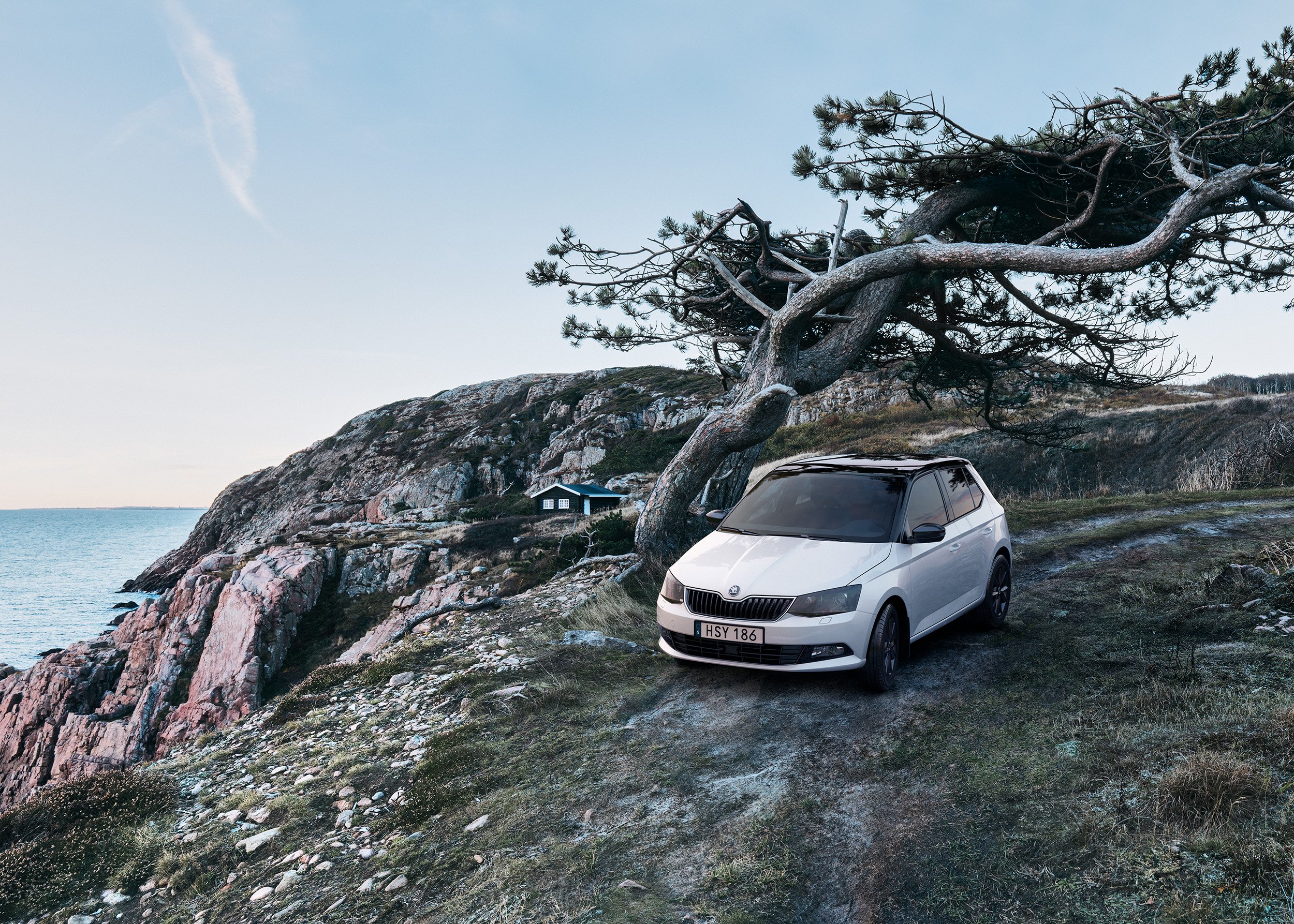 Skoda_Fabia_v4_16-9_low.jpg