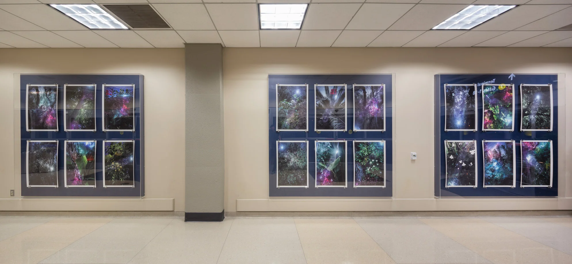Installation View / Terminal 2 / San Diego International Airport Plexiglass Containers 7x7' each image 20x30"