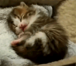 Yawn!