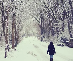 Alone for the Holidays