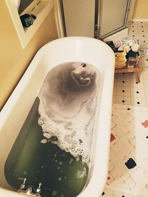 A Writing Log - v. 14 - The Big Vacation Post!